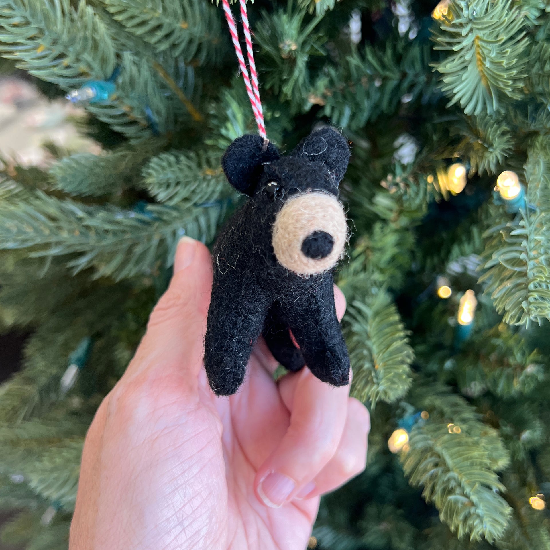Cuter black bear ornament being held on a Christmas tree