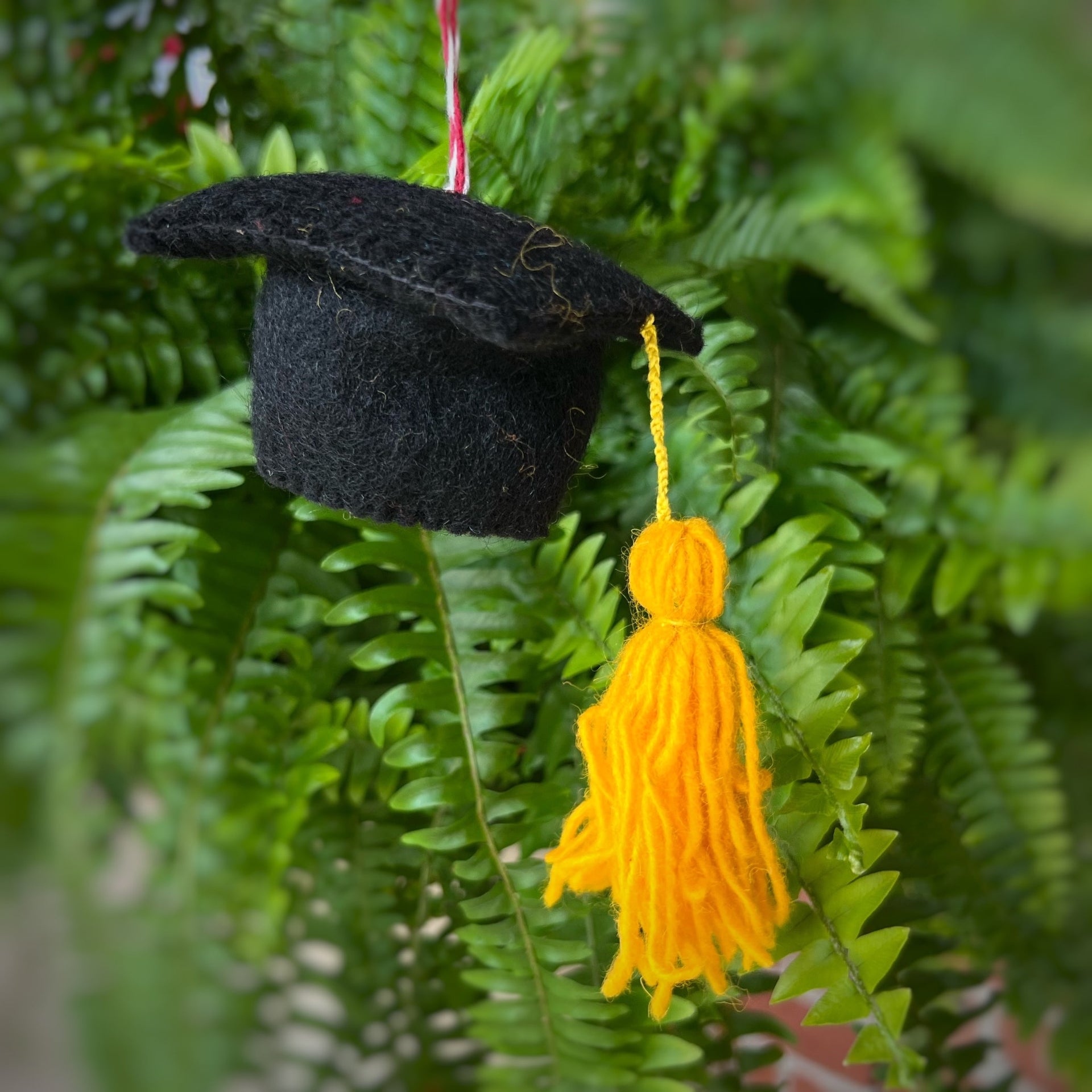 Graduation Cap Ornament, Felt Wool