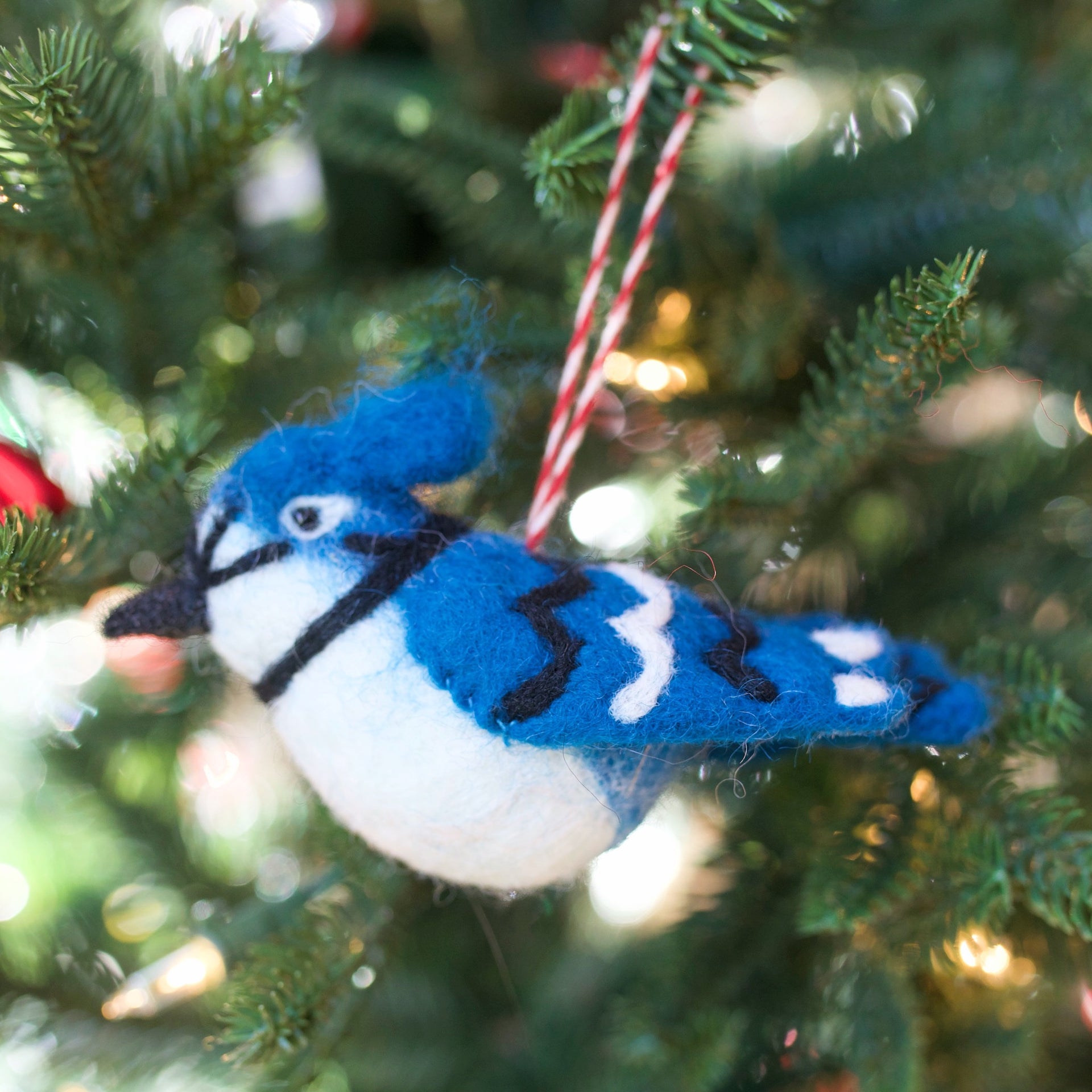 Blue Jay Bird Christmas Ornament hanging on tree.